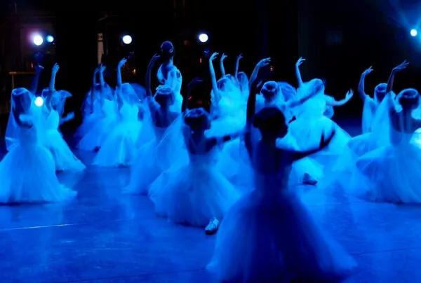 40e gala de L'Danse : 