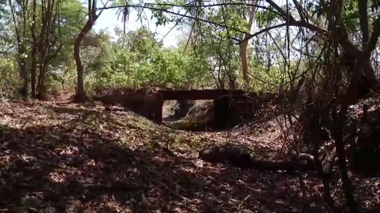 Seca: Governo de MG decreta situação de emergência em cidades do Norte de MG