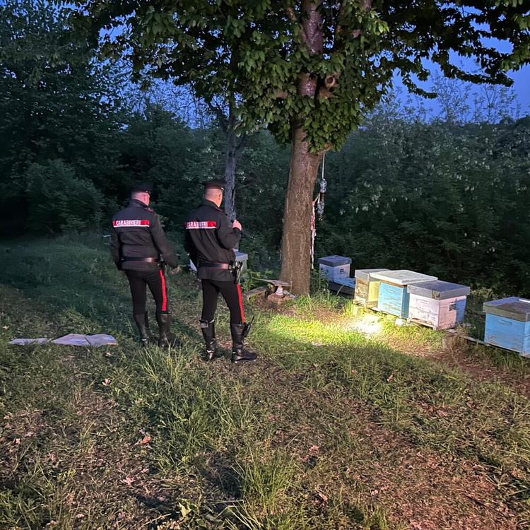 Uccide l'ex e il nuovo compagno di lei. Poi si suicida nell'Astigiano