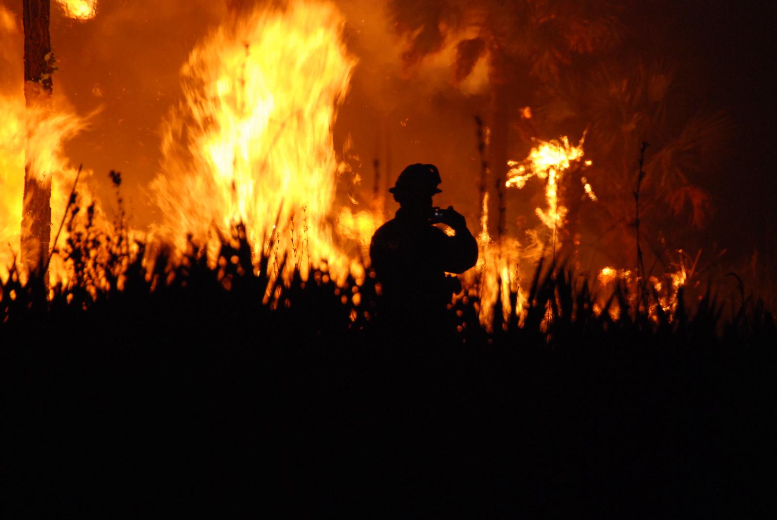IDEAM Issues Alert over Wildfire Risk in Colombia Due to Heat Wave