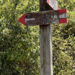 Sentiero 210 Morlupo