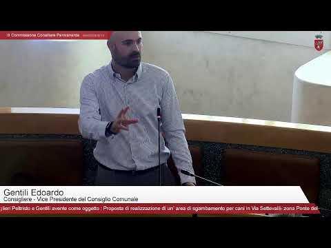 III Commissione Consiliare Permanente
