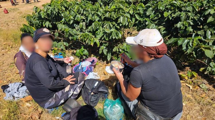 Mais de 30 trabalhadores sem água potável e banheiros são resgatados de fazenda de café em MG