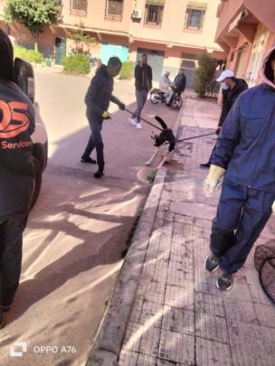 مسودة تلقائية