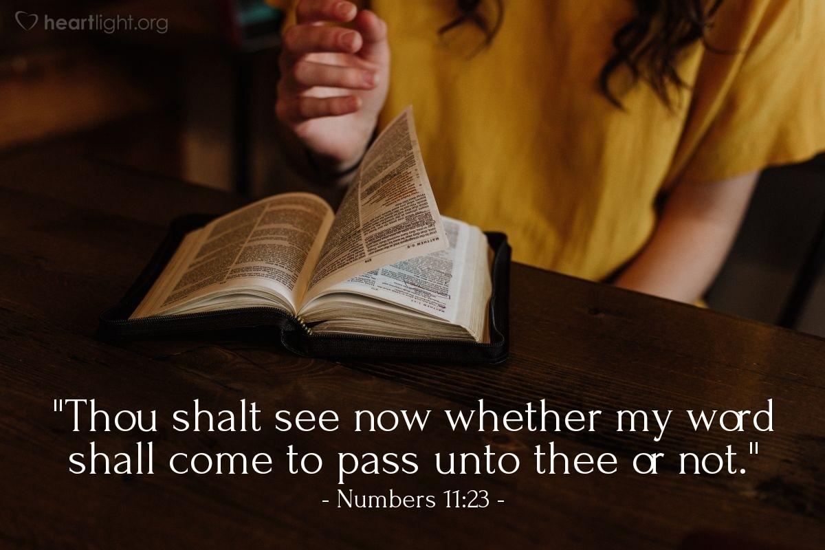 Numbers 11:23 - Evening Devotional for Jun. 8th