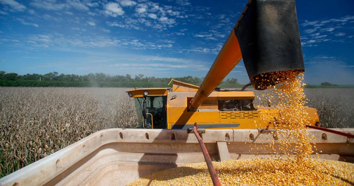 Crédito rural para a agricultura empresarial soma R$ 107,1 bi nos três primeiros meses da safra 2026/2027