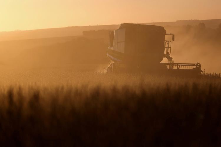 Leilões de propriedades rurais disparam no Brasil com aumento da inadimplência no campo