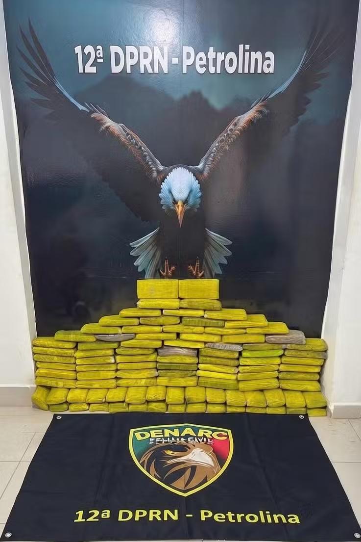 Polícia Civil apreende cerca de 93 kg de maconha escondidos em porto fluvial de Petrolina