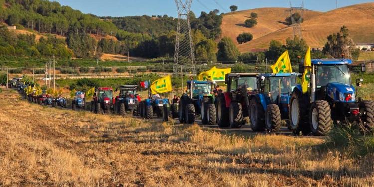 Siccità e incendi, agricoltura in crisi: idea di Coldiretti per salvare i terreni