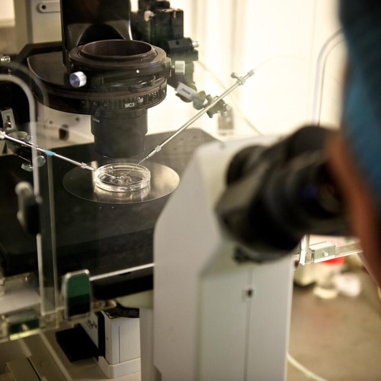 Farmaci e biopsie saranno sostituiti da microrobot