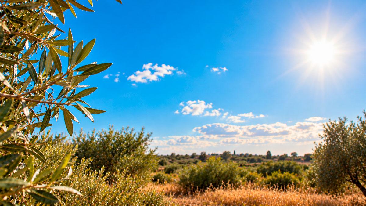 El Vinalopó despide septiembre con un fin de semana de sol y temperaturas de hasta 30 grados