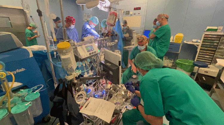 #Elda marca un hito sanitario con su primera donación de corazón en asistolia