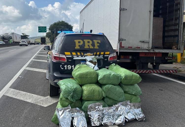 PRF prende caminhoneiro com cerca de 116 kg de maconha na Via Dutra, em Barra Mansa