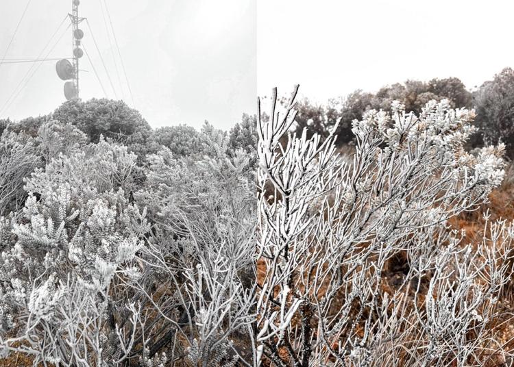 Congelou! Fenômeno incomum muda cenário da capital nacional do frio em amanhecer de -1,32°C em SC