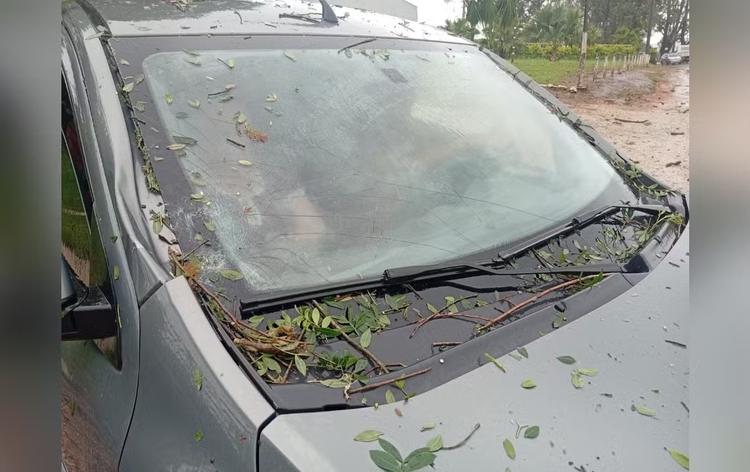Chuva forte causa queda de árvores e destelhamentos na região de Itapetininga