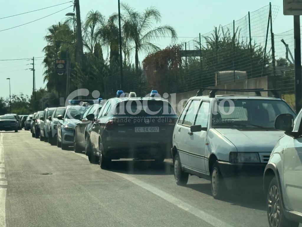 Cagnolina maltrattata sulla spiaggia di Agropoli: scatta la denuncia e il sequestro dell’animale