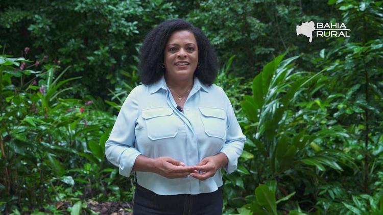 Vídeos do g1 Bahia e TV Bahia – domingo, 7 de junho de 2026