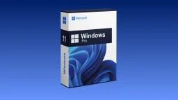 Microsoft Windows 11 Pro