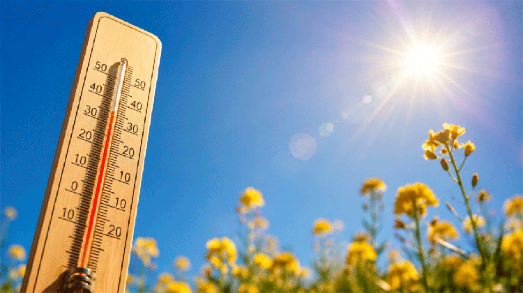 #Comarca: El calor ganará terreno este fin de semana en el Vinalopó con temperaturas cerca de los 30 grados