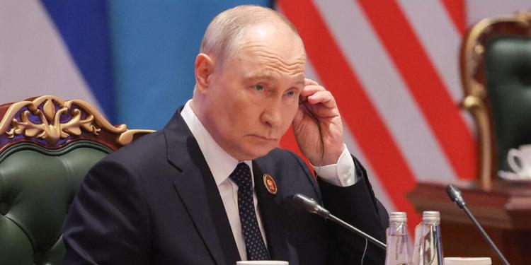 Zelensky a Putin: "Incontriamoci al G20 di Miami". Gelo di Mosca