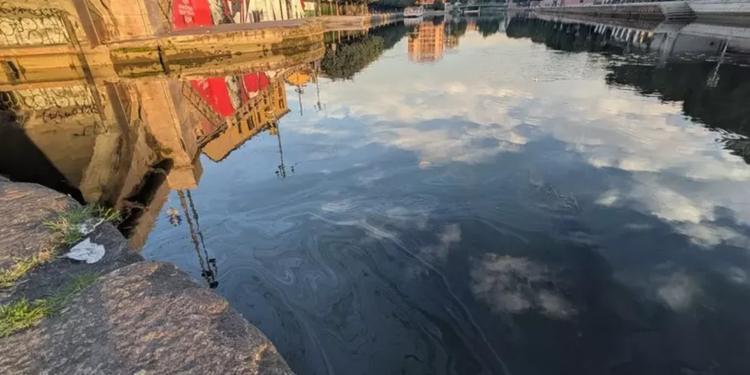 La chiazza di gasolio nel Naviglio è lunga 28 km e ha raggiunto la Darsena. "Danni pesanti alla biodiversità"