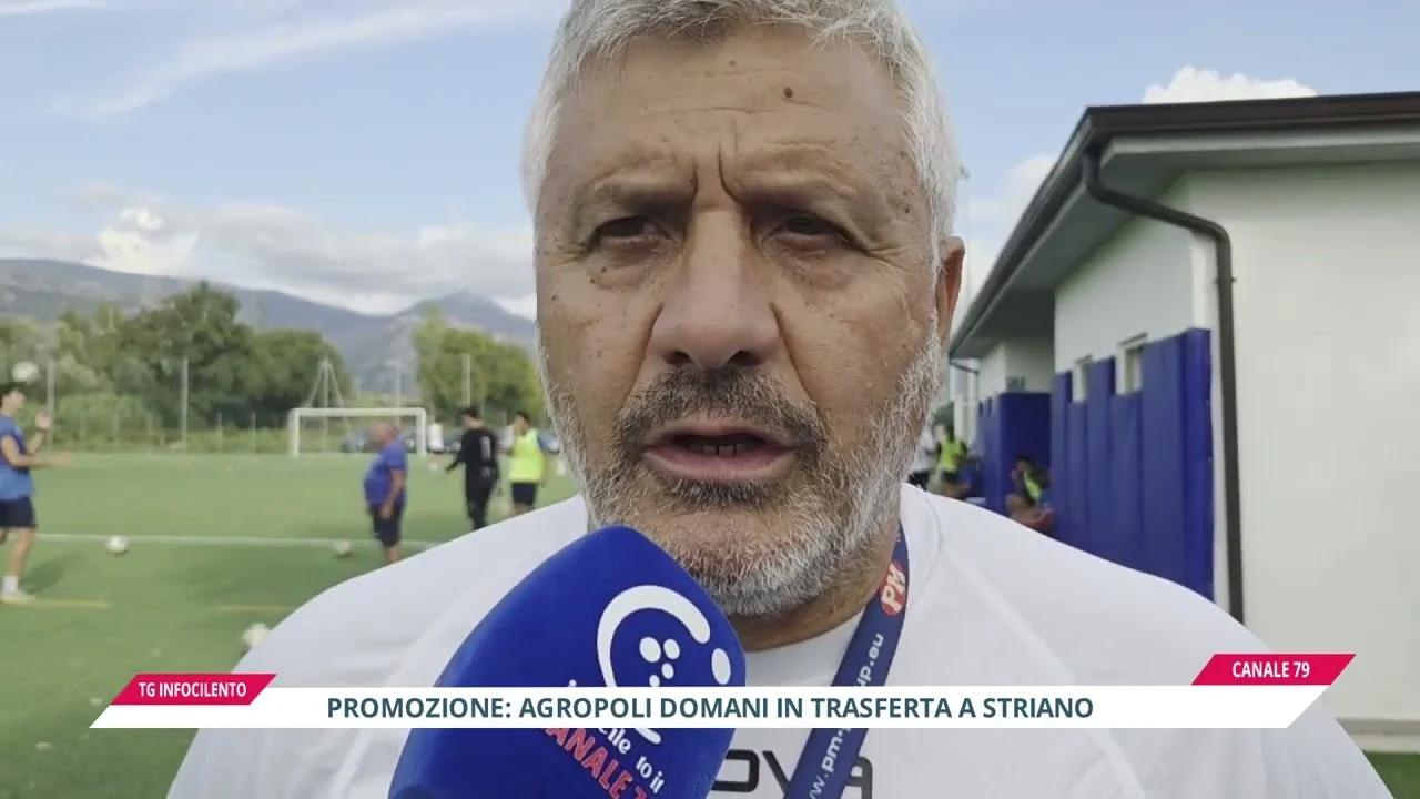 Victoria Marra-Agropoli: i delfini cercano il tris a Striano