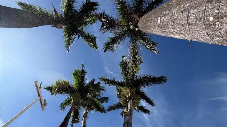 Tempo seco e temperaturas acima da média marcam a semana no Triângulo  e Alto Paranaíba