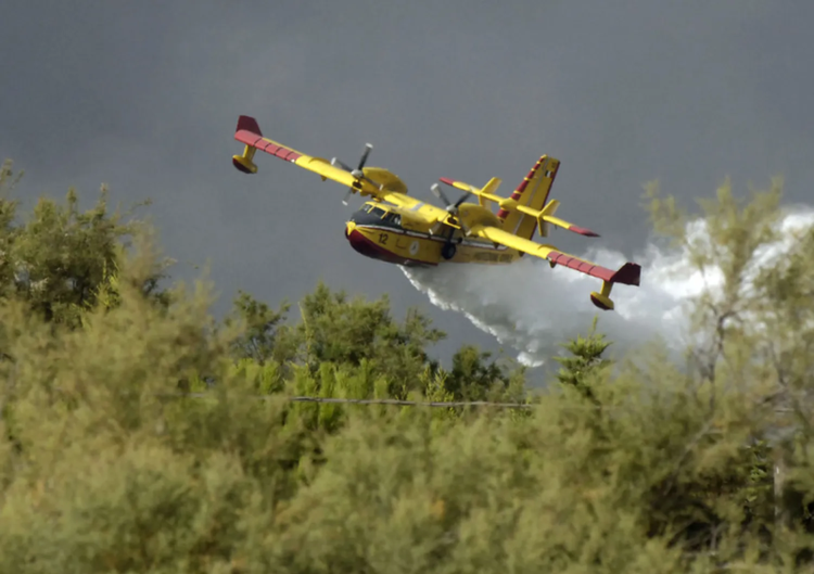 Incendio a Lucito: Canadair in azione per salvare due masserie