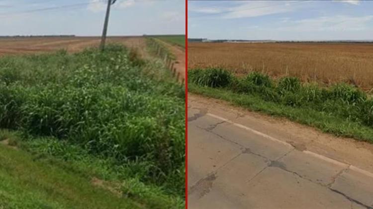 Fazenda de 101 hectares vai a leilão em MT com lance inicial de R$ 10,5 milhões