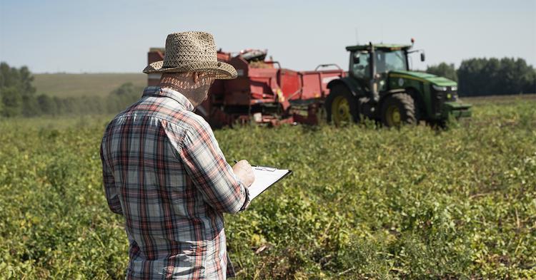 Títulos privados do agro movimentam R$ 580,8 bi em CPR no início da safra 2026/27