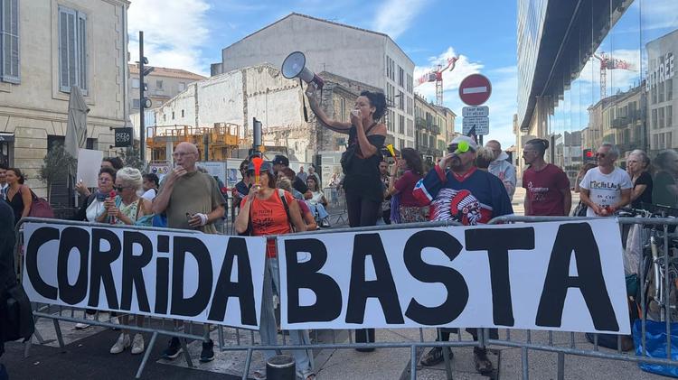 Nîmes : "la cruauté n'est pas un spectacle", les manifestants anti-corrida se font entendre