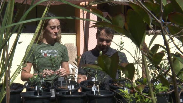 UFMG desenvolve fertilizantes sustentáveis produzidos a partir de resíduos da indústria
