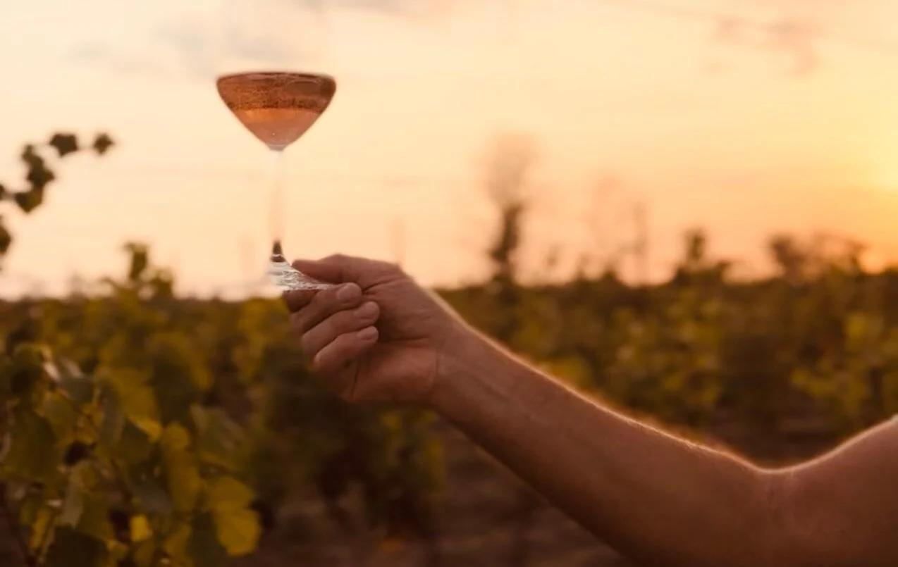 Congresso Nazionale FISAR nel Cilento: vino, cultura e Magna Graecia ad Ascea