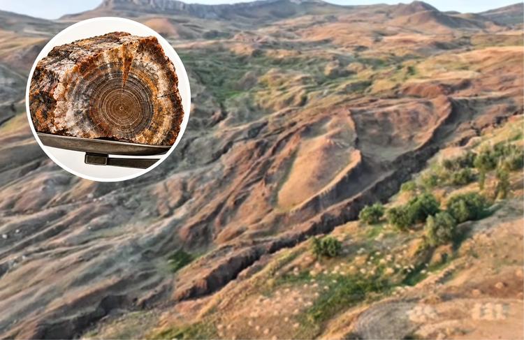 Pesquisa sobre Arca de Noé encontra material que pode ser madeira petrificada
