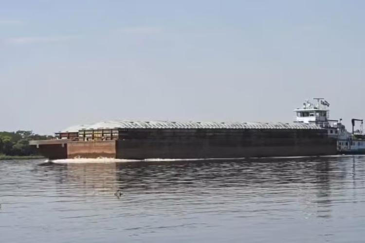 Plano de R$ 63 milhões para triplicar cargas na Hidrovia do Rio Paraguai acende alerta ambiental no Pantanal