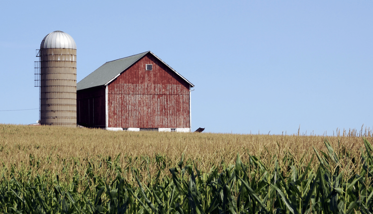 Hyde-Smith backing bill to reduce fertilizer costs as push grows for farm aid
