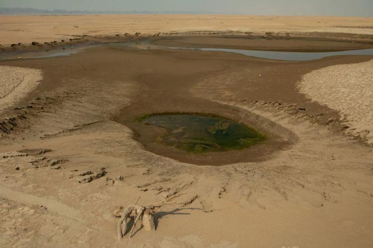 Seca extrema no Rio Solimões, no Amazonas, em 2024: após dois anos consecutivos de seca severa, a Amazônia recuperou a superfície de água em 2025, ano em que esteve abaixo da média histórica durante apenas dois meses (Foto: Nilmar Lage / Greenpeace - 24/09/2024)