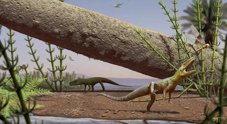 Descoberta no Rio Grande do Sul revela réptil que antecedeu dinossauros e crocodilos