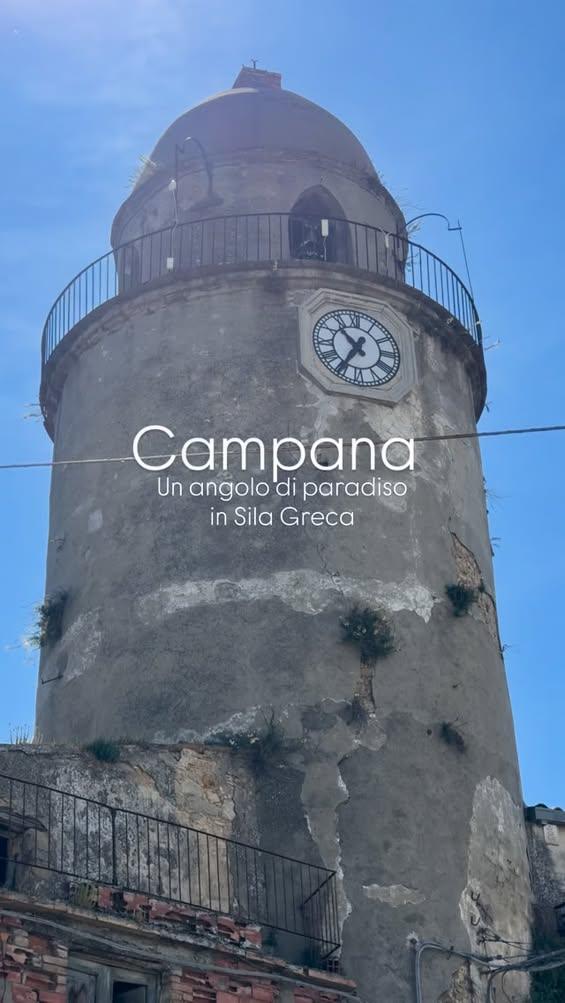 AVVISO Il Comune di Campana e Sibaritide Turismo hanno stretto un rapporto di collaborazione, sfruttando anche in questo...