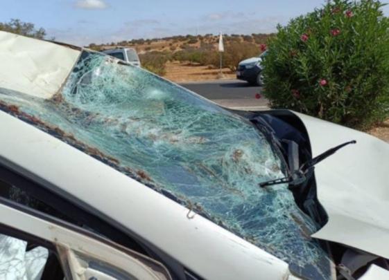 حيوان شارد يتسبب في حادثة سير نواحي الصويرة