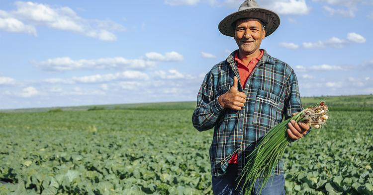 PIB do agronegócio cresce 12,20% e chega a R$ 3,20 trilhões em 2025