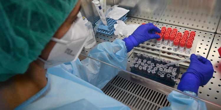 Hantavirus, task-force della Regione Calabria: attivati tutti i protocolli di sicurezza