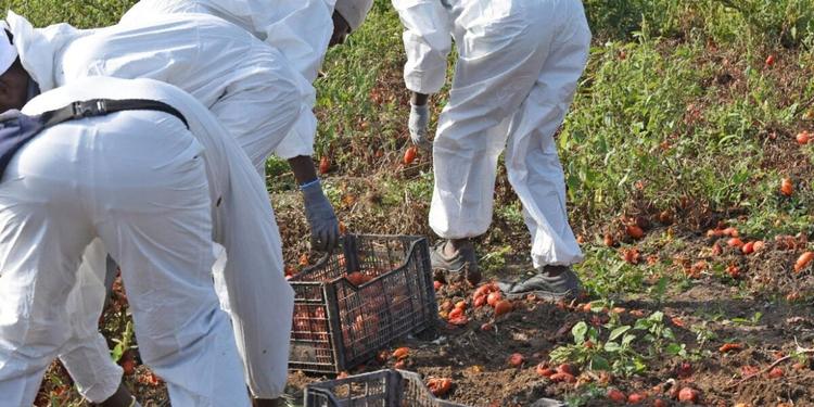 Celebre (Fillea Cgil Calabria): «Dodici morti sul lavoro in un anno sono un tributo di vite inaccettabile»