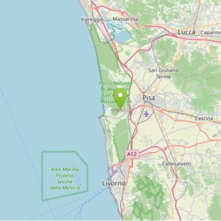 Trema la Toscana: scossa di magnitudo 4.3 a Pisa, allarme dopo i Campi Flegrei