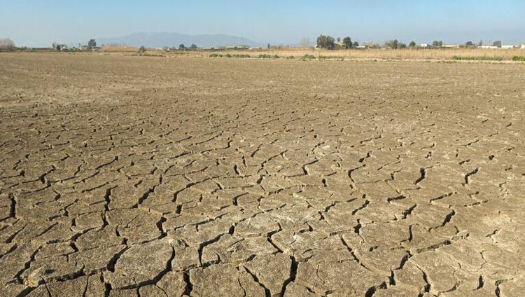 Scottish Farmers Urged to Plan for Water Scarcity