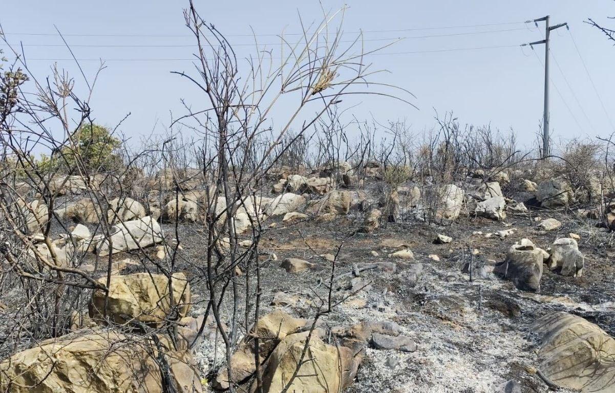 Roccadaspide, brucia ancora la montagna: elicotteri in azione dal fiume Calore