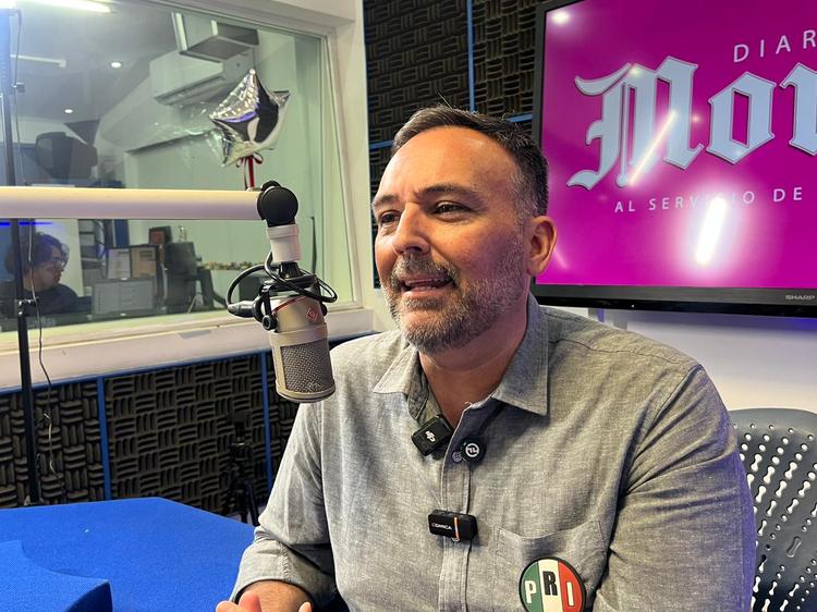 ¿Negocio redondo? Acusan a autoridades de Cuernavaca de lucrar con la tala de árboles