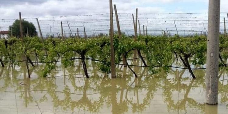 Calabria colpita da eventi estremi: approvata la declaratoria di calamità naturale