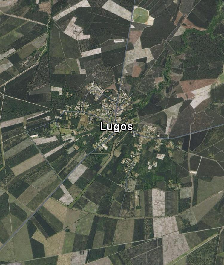 Lugos (33)
