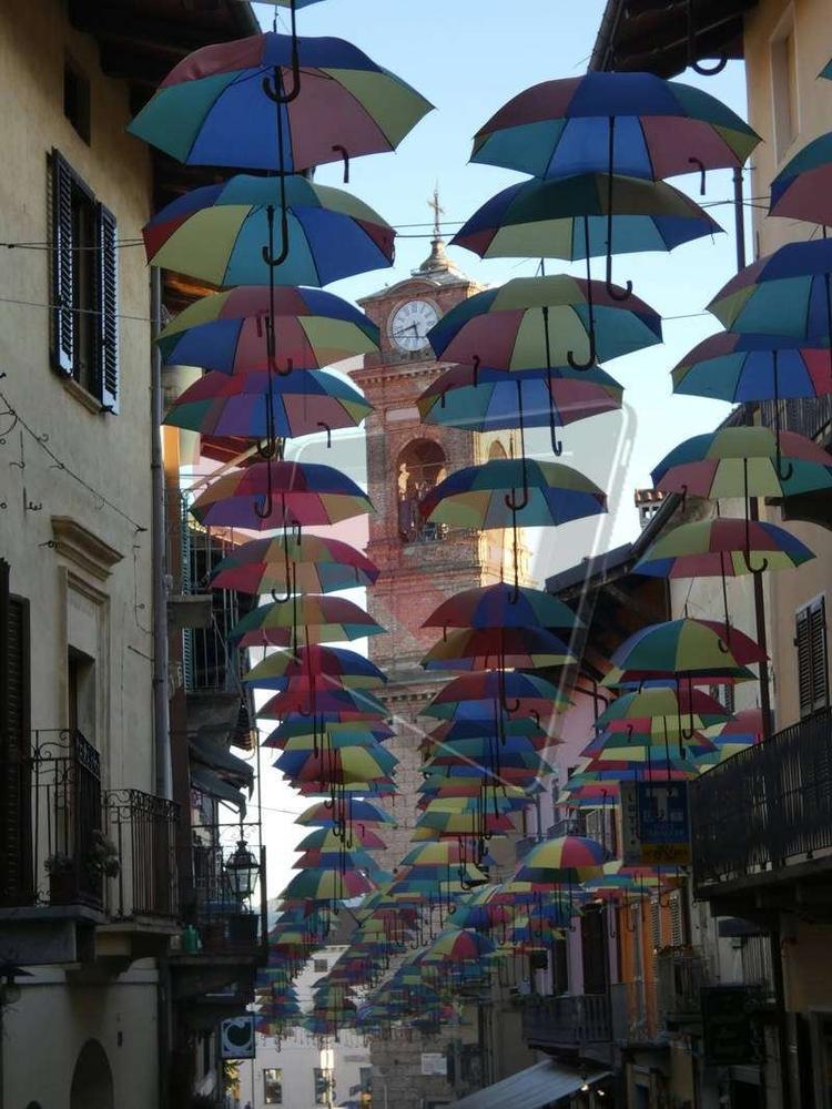 giaveno fungo